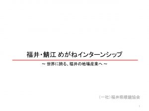 めがねインターンシップ説明資料170428のサムネイル